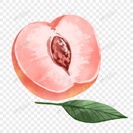 羞羞网站APPAPP应用