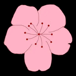 龙物视频下载APP应用